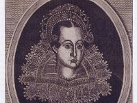 Tekla Anna Radziwiłłowa z domu Wołłowicz (ur. 1608, zm. 20 marca 1637 w Białej)  - córka podkanclerzego litewskiego Hieronima Wołłowicza i Elżbiety Gosławskiej. Marszałkowa wielka litewska. 9 maja 1623 w Grodnie została żoną Aleksandra Ludwika Radziwiłła, marszałka wielkiego litewskiego. Matka Michała Kazimierza Radziwiłła, podkanclerzego litewskiego. W 1625 ufundowała kaplicę różańcową przy kościele św. Anny.