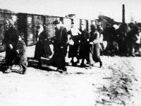 Deportacją Żydów z Międzyrzeca Podlaskiego 26.05.1943, Batalion policyjny 101