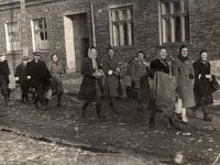 Deportacją Żydów z Międzyrzeca Podlaskiego 26.05.1943, Batalion policyjny 101